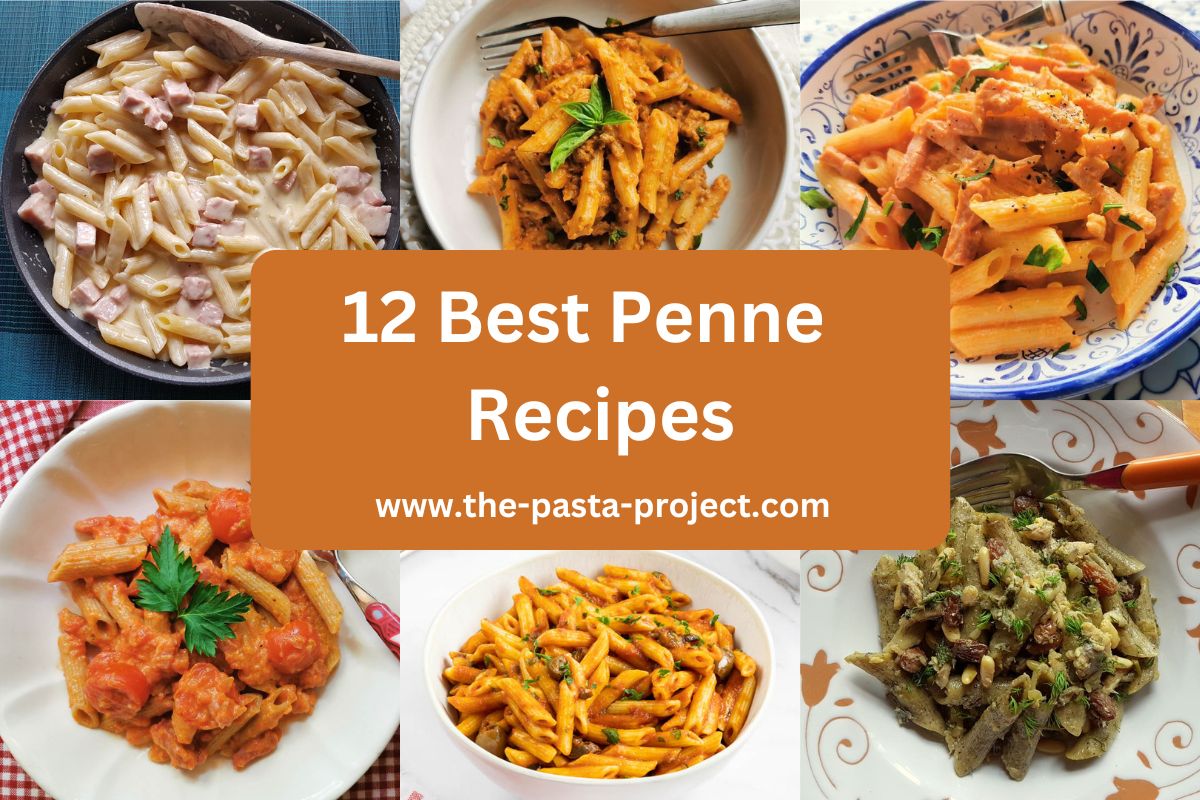 12 Yummy Penne Pasta Recipes - The clever meal