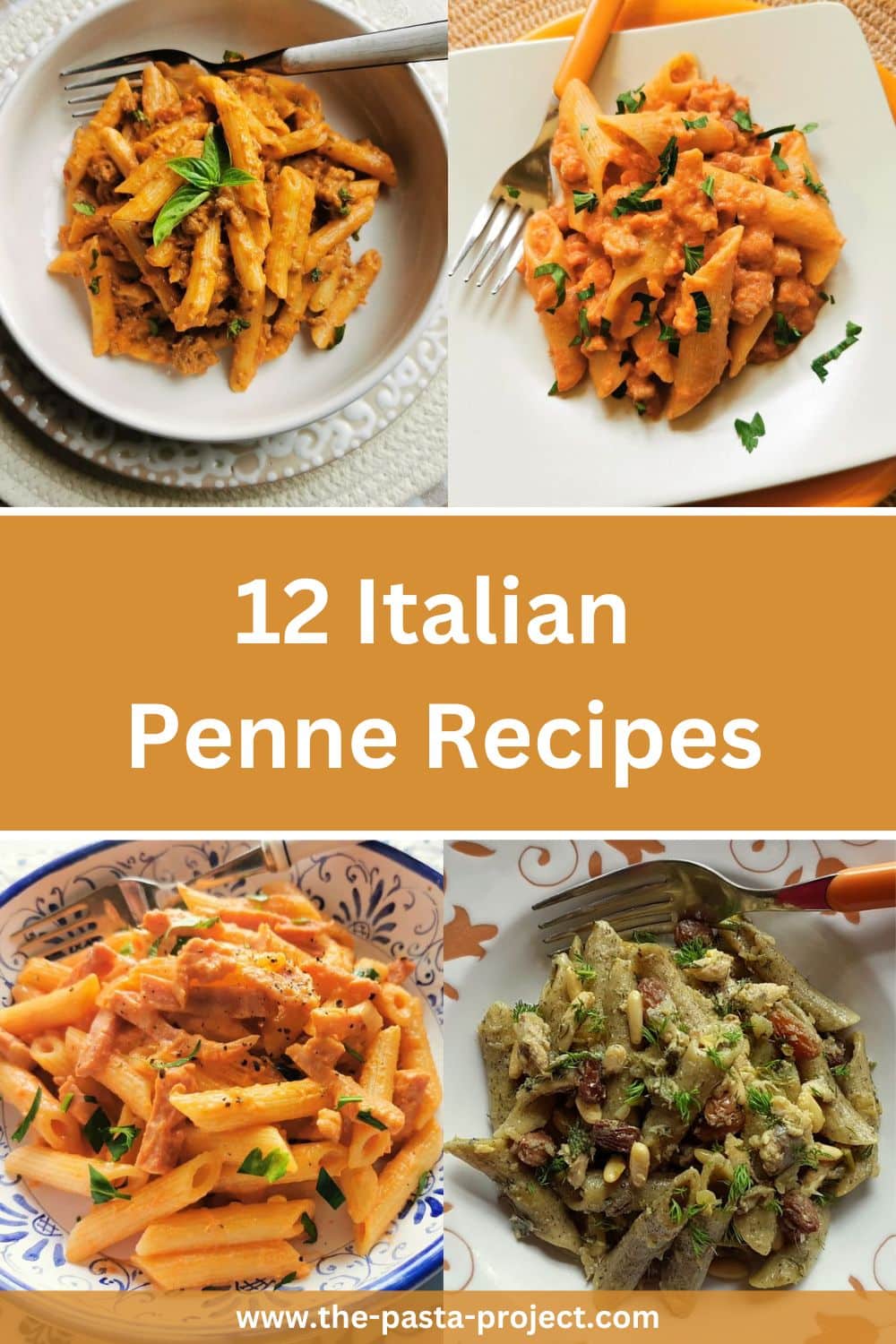 Italian Penne Recipes