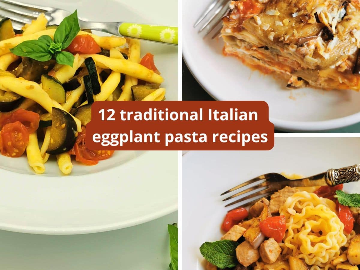 イタリアのナスのパスタ12レシピの写真集。