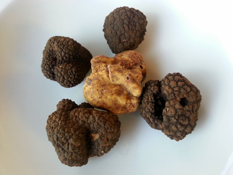 Black and white truffles