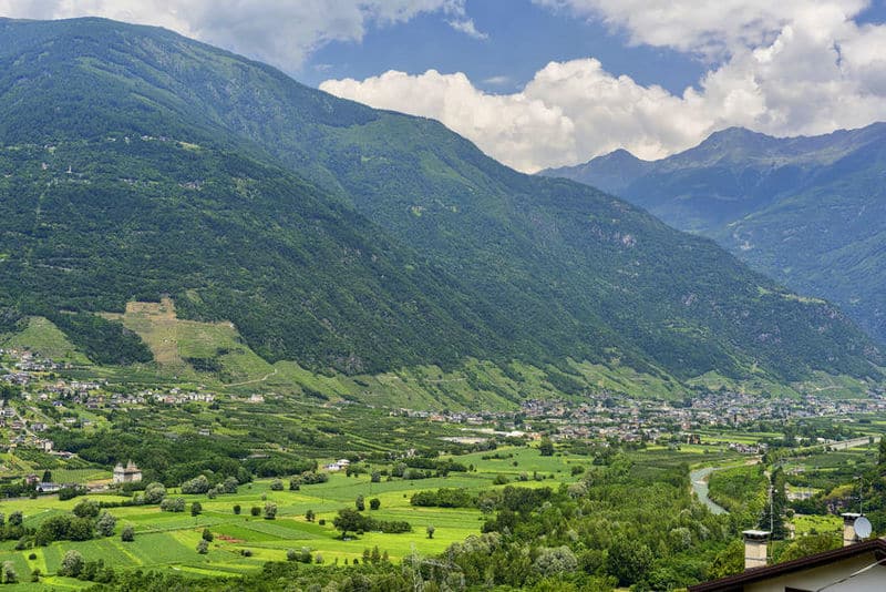 The Valtellina valley in summer