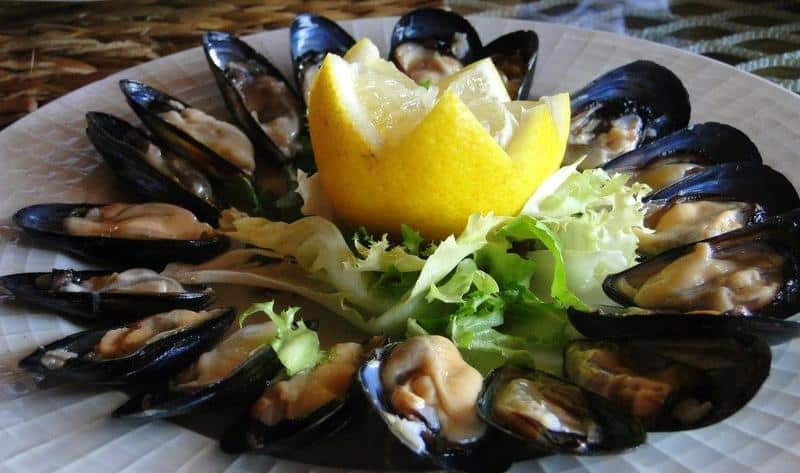 Raw seafood mussels Puglia