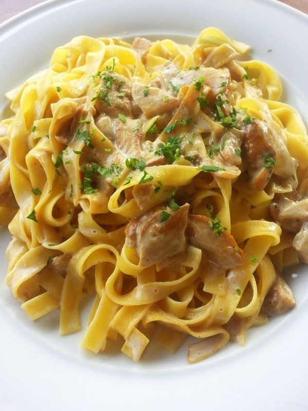 Tagliatelle with porcini mushrooms-image