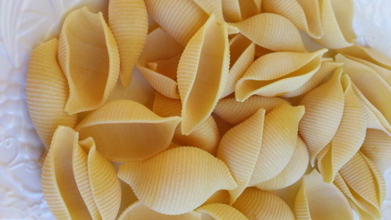 conchiglioni seashell pasta