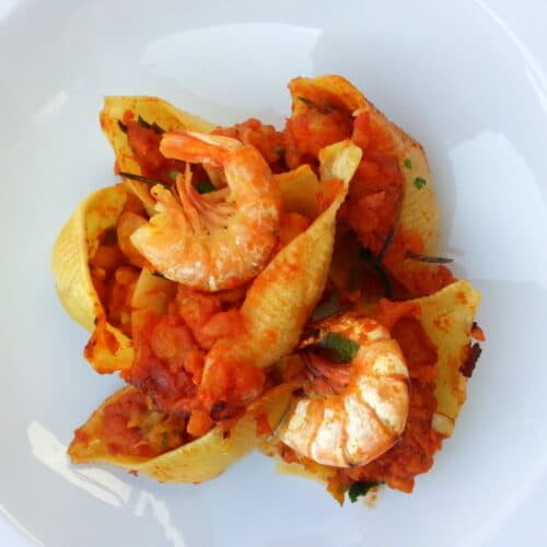 Conchiglie, Conchigliette, Conchiglioni. – The Pasta Project