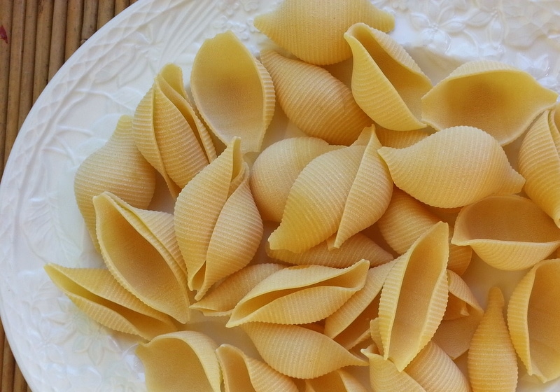 shell pasta The Pasta Project