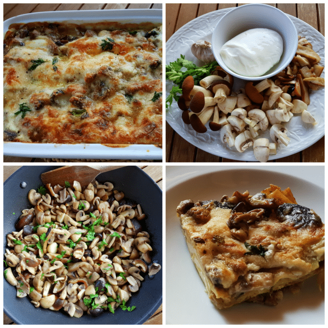 Lasagna bianca with mushrooms and burrata