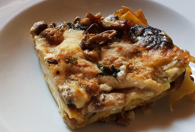 Lasagne bianca with mushrooms and burrata