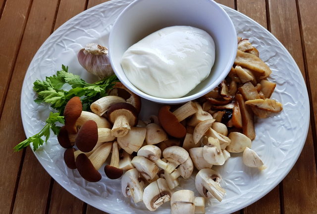 lasagna bianca with mushrooms and burrata ingredients