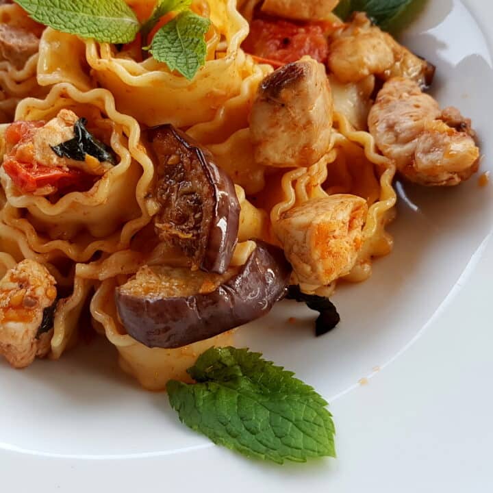 pasta with swordfish, eggplant and mint. The Pasta Project