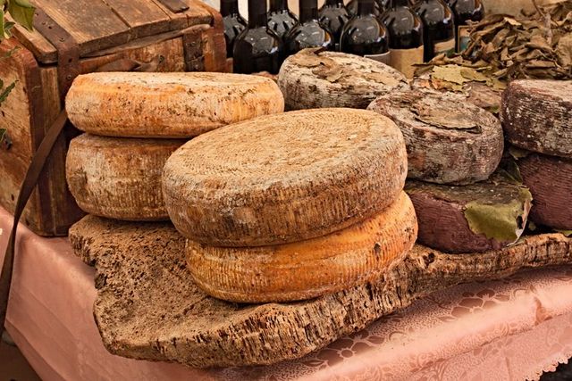 Sardinia cheese