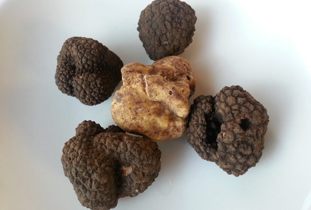 Black and white truffles