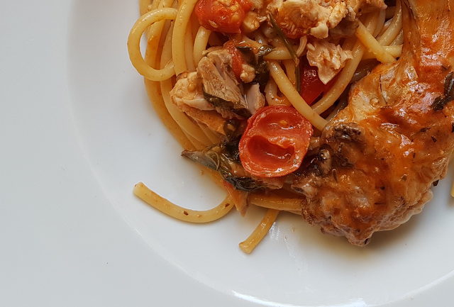 Bucatini pasta with rabbit