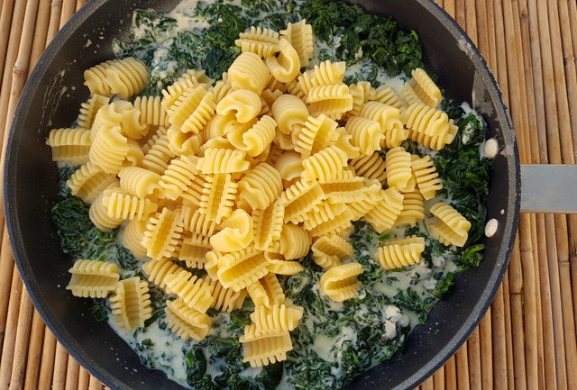 Radiatori with spinach and stracchino