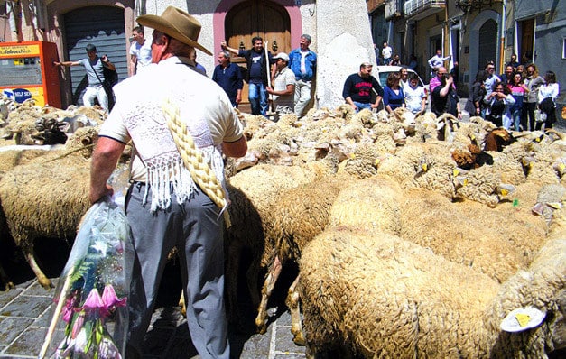 Shepherd wearing cheese braid Molise