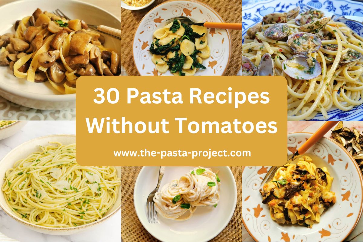 Pasta recipes without tomatoes.
