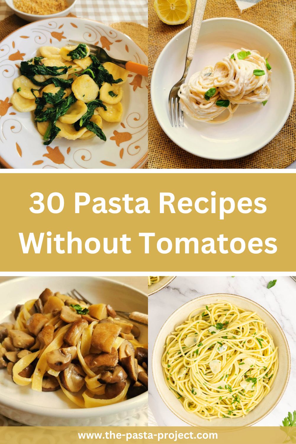 30 Pasta recipes without tomatoes.