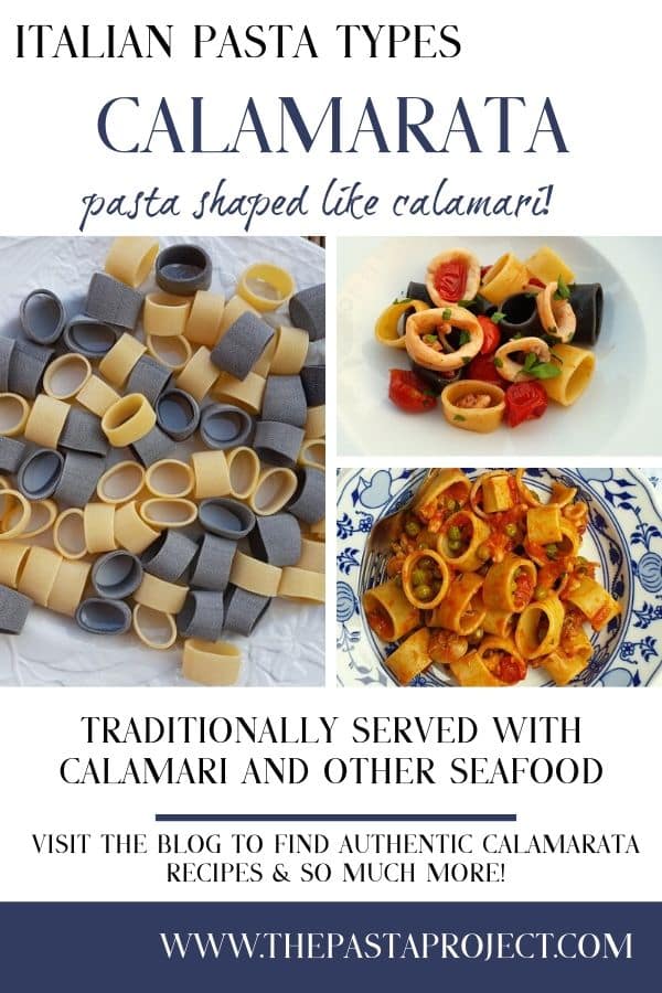 Italian Pasta Types - Calamarata 