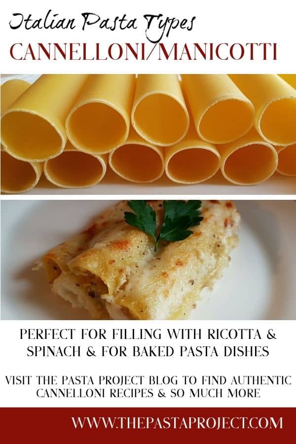 Pasta Types - Cannelloni or Manicotti