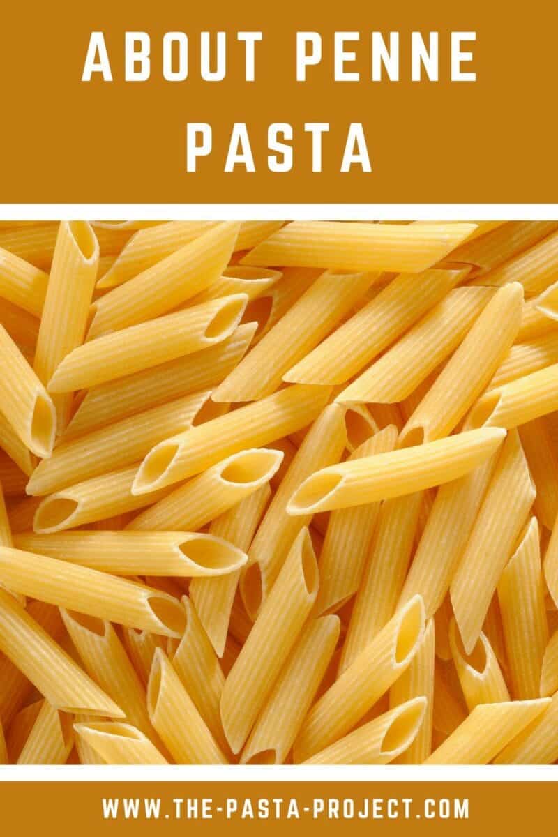penne-pasta-everything-you-need-to-know-the-pasta-project