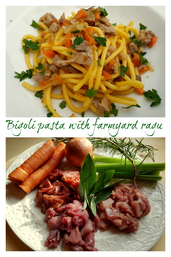 Bigoli pasta with farmyard ragu