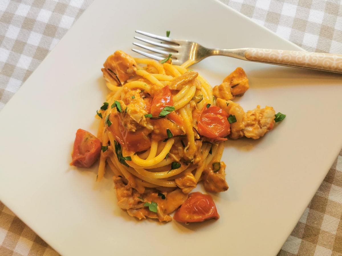 Bucatini pasta with braised rabbit all'ischitana