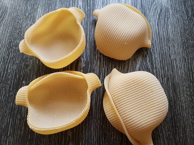 Caccavelle Giant Pasta Shells From Gragnano Naples The Pasta Project caccavelle-giant-pasta-shells-from-gragnano-naples-the-pasta-project