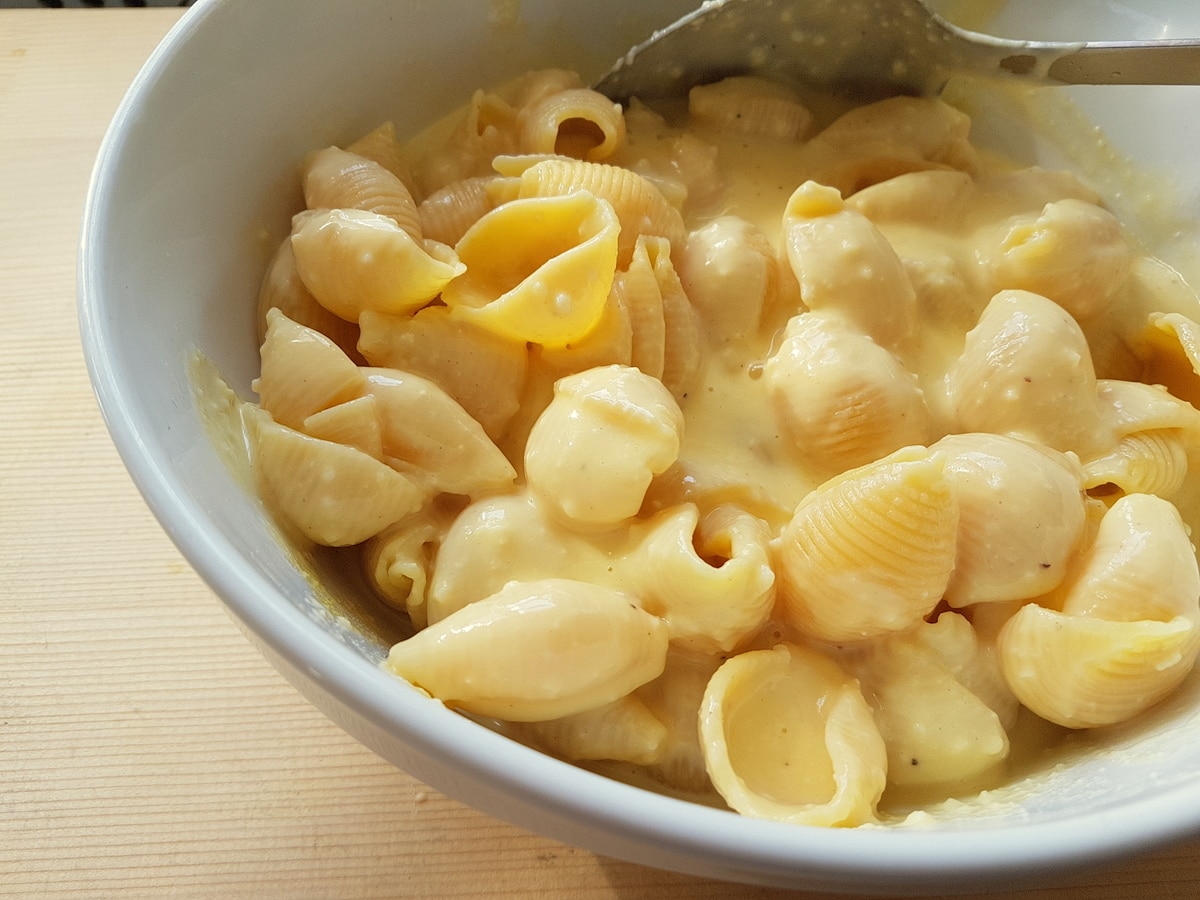 Cooked pasta shells (conchiglie) mixed with béchamel sausce in white bowl.