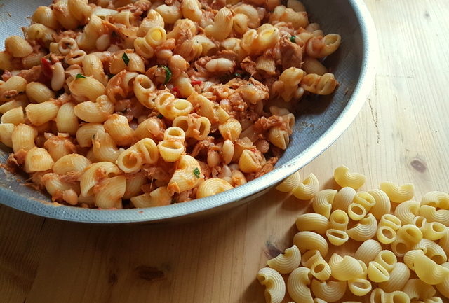 Chifferi elbow pasta with cannellini beans and tuna 