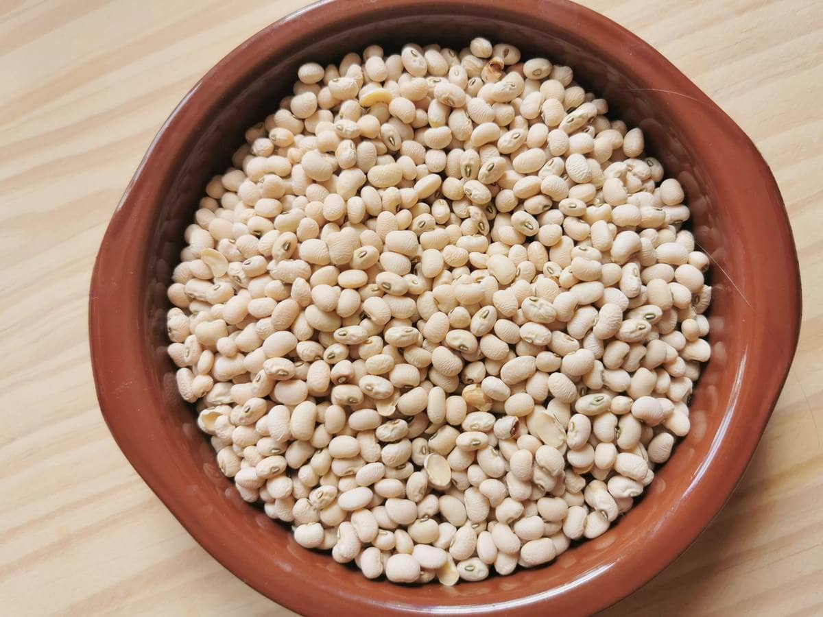 A bowl of cream colored Trasimeno beans.