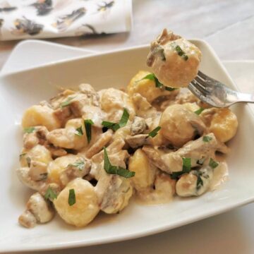 Creamy mushroom gnocchi with stracchino (crescenza)