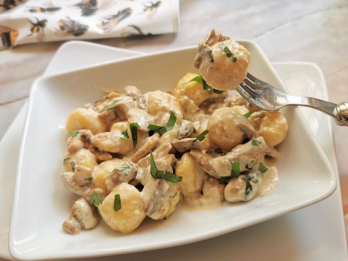 Creamy mushroom gnocchi with stracchino (crescenza)