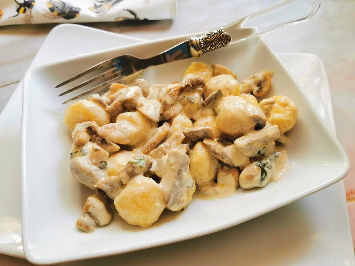 creamy mushroom gnocchi with stracchino in white bowl.