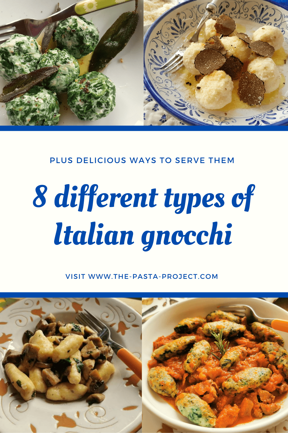 Different types of Italian gnocchi. The Pasta Project