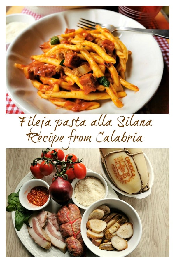 Fileja pasta alla Silana