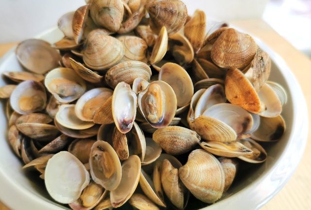 cooked small clams in a white bowl