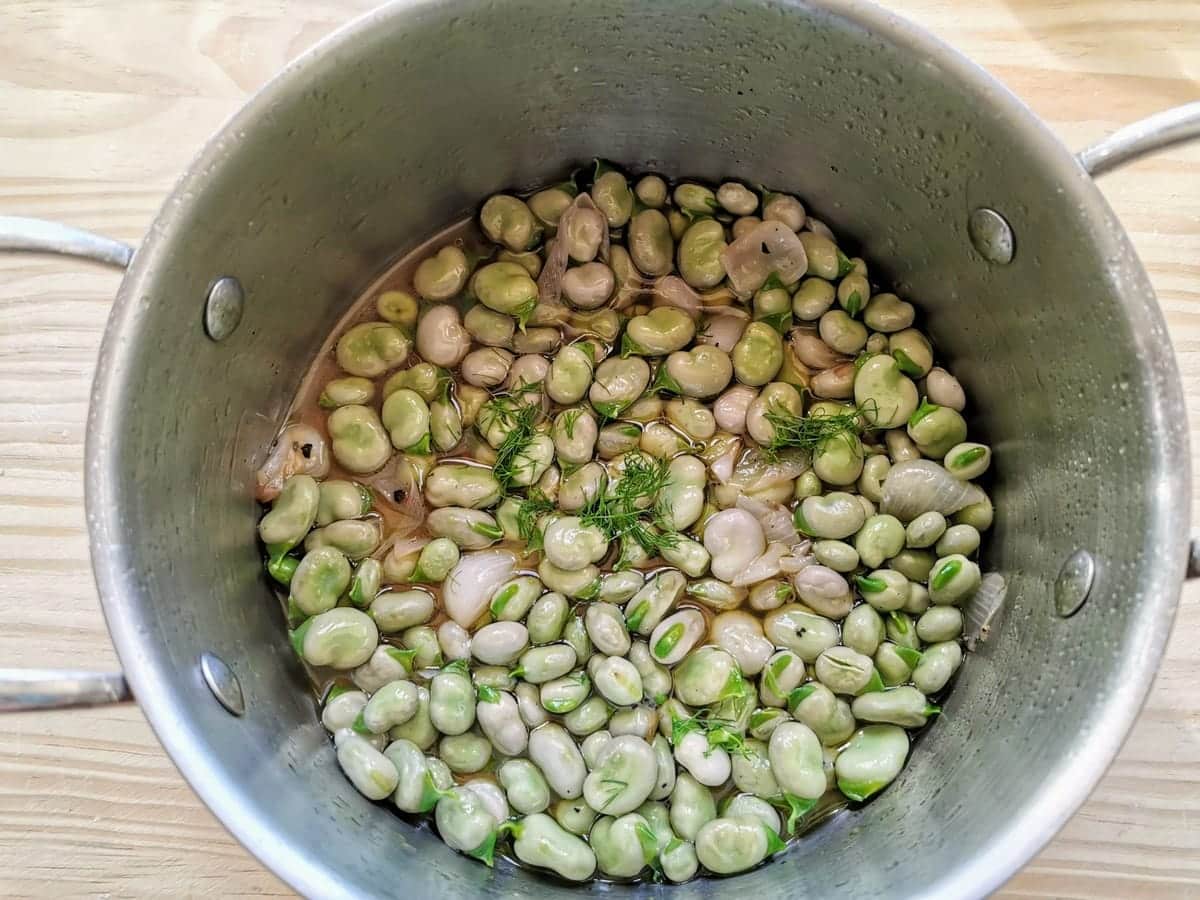 Fava beans in pan with water and wild fennel