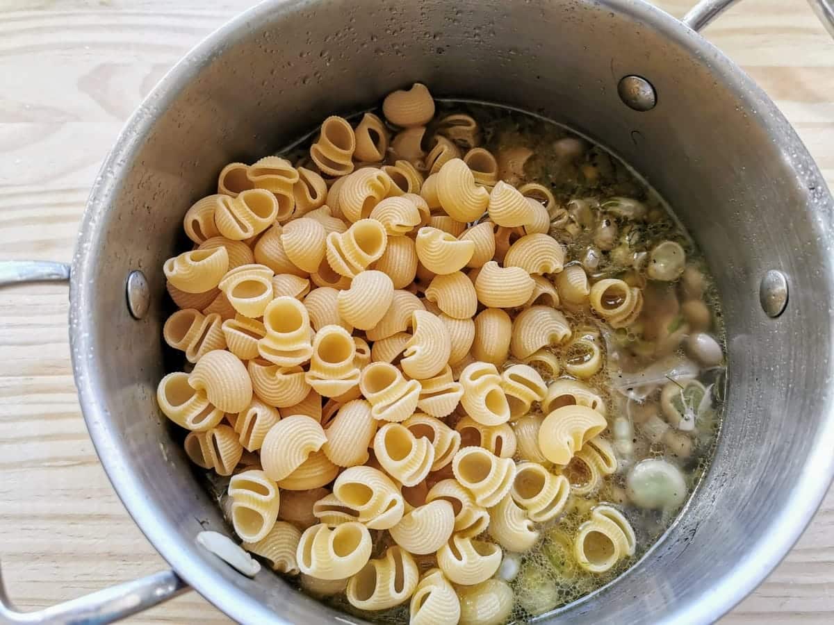 snail shell pasta added to fava beans in pan