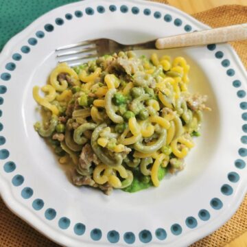Gramigna pasta with Italian sausage, cream and peas.
