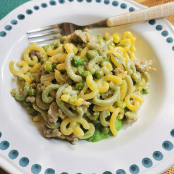 Gramigna pasta with Italian sausage, cream and peas.