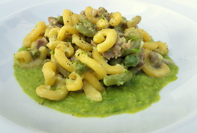 gramigna with sausage, peas and cream in a white plate