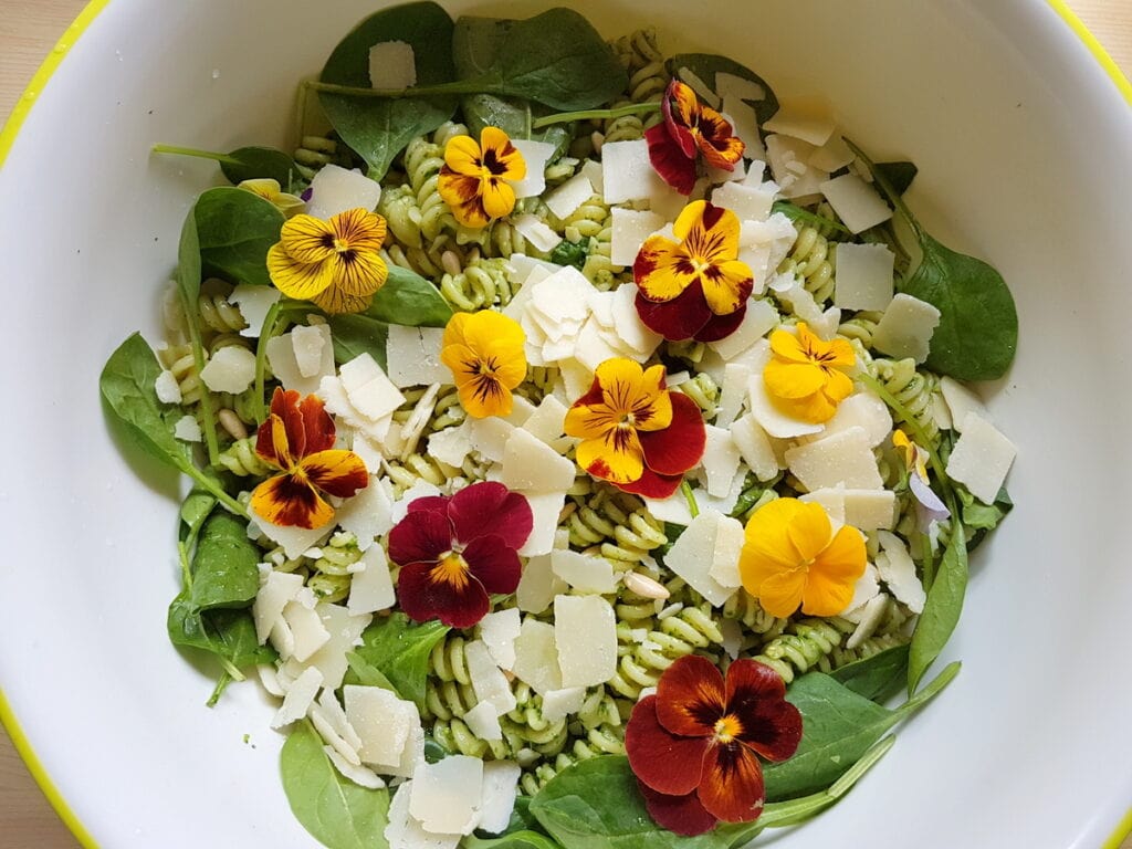 Green pasta salad with edible flowers