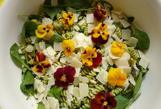 green pasta salad with edible flowers