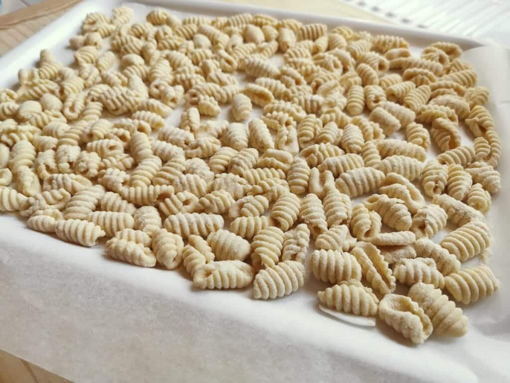 https://www.the-pasta-project.com/wp-content/uploads/Homemade-Sardinian-gnocchi-malloreddus-1-1024x768.jpg