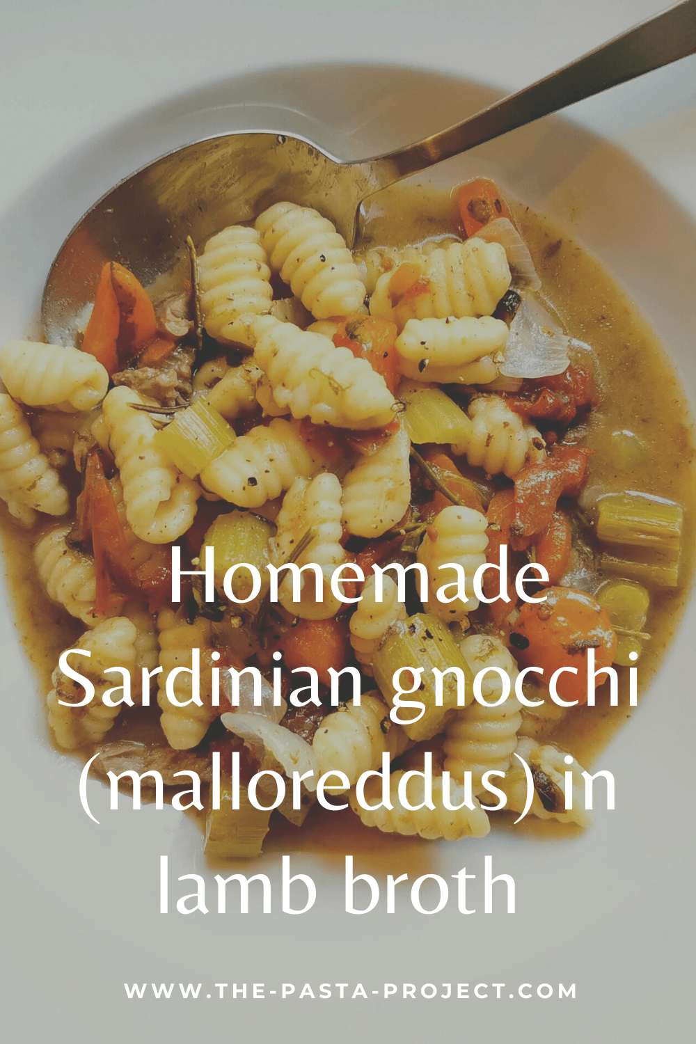 Homemade Sardinian gnocchi (malloreddus) in lamb broth.