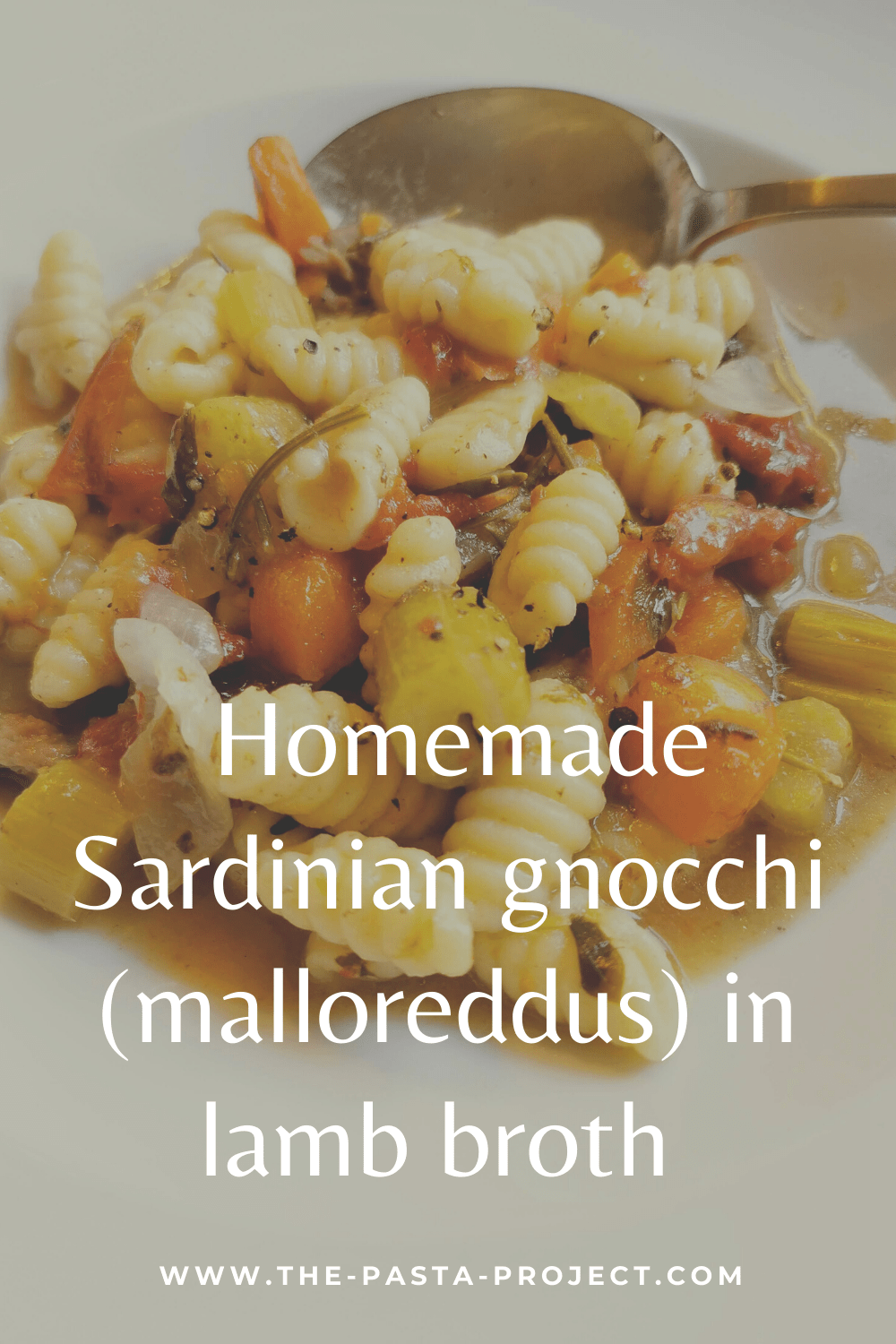 Homemade Sardinian Gnocchi (malloreddus) in Lamb Broth. – The Pasta Project