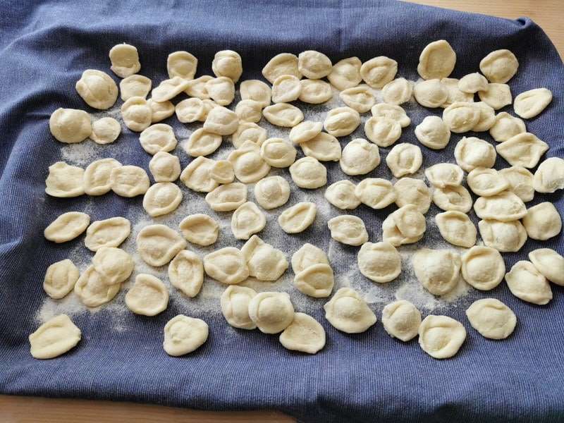 homemade orecchiette on blue tea towel