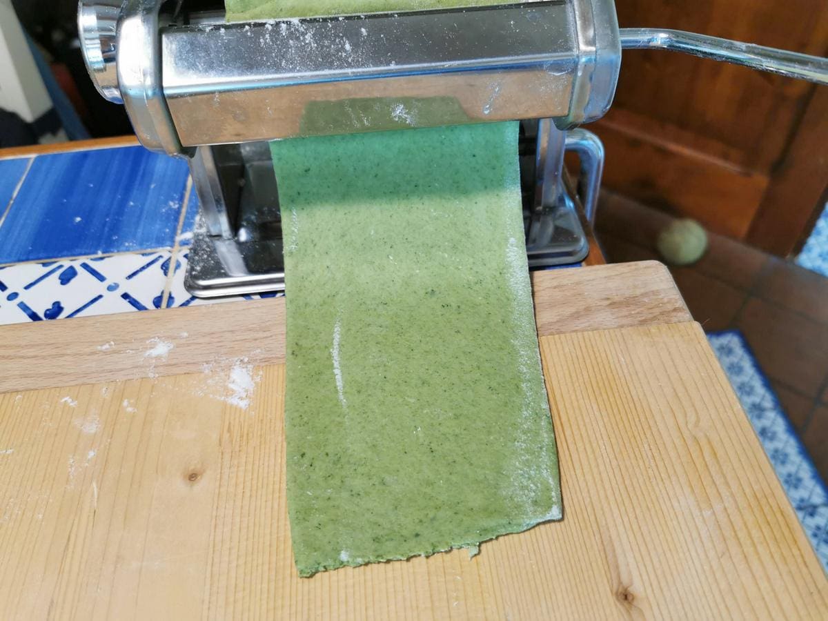 Sheet of green pasta dough passing through a pasta machine.