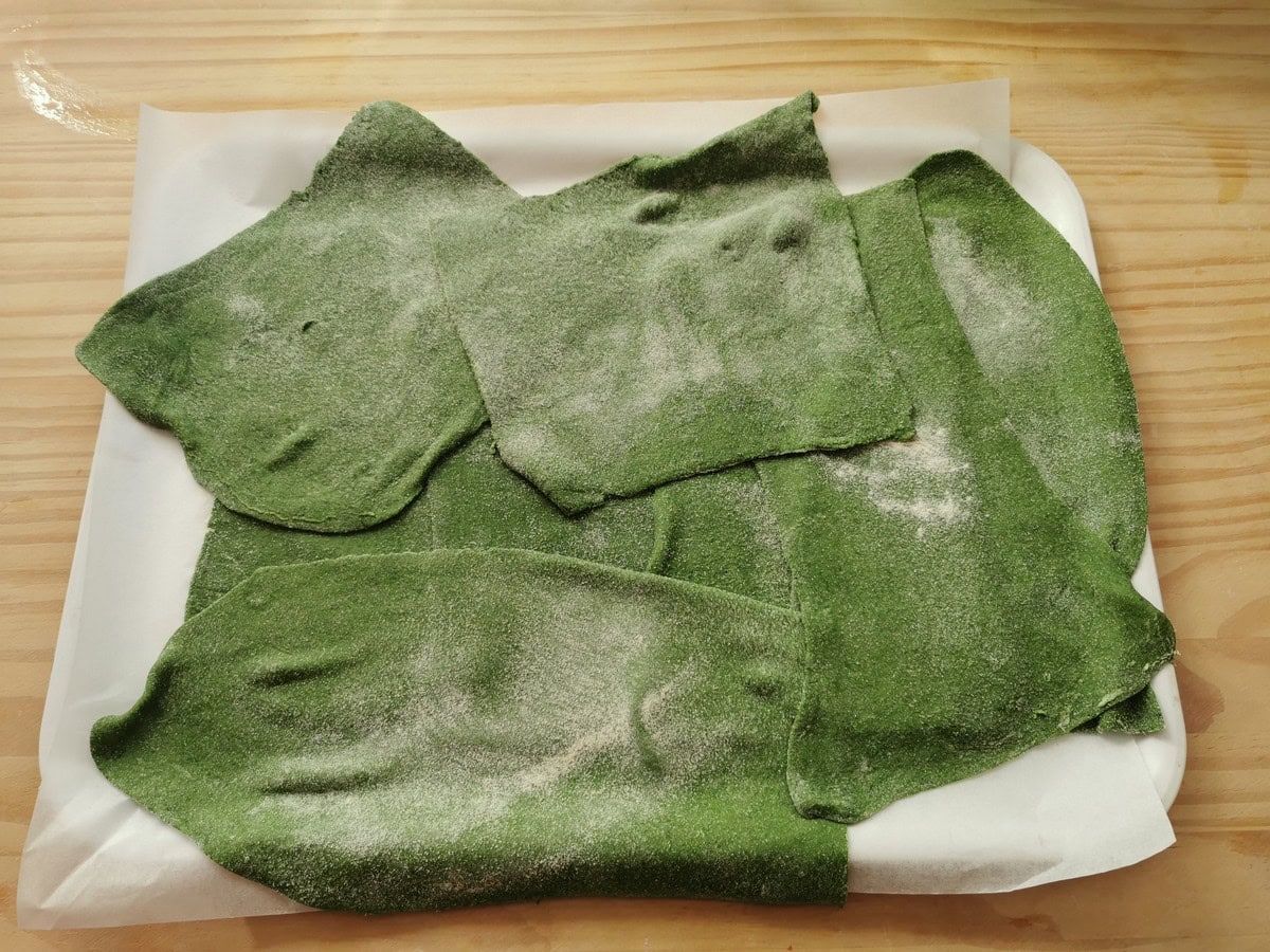 Ready green lasagne sheets for lasagne al forno on tray.