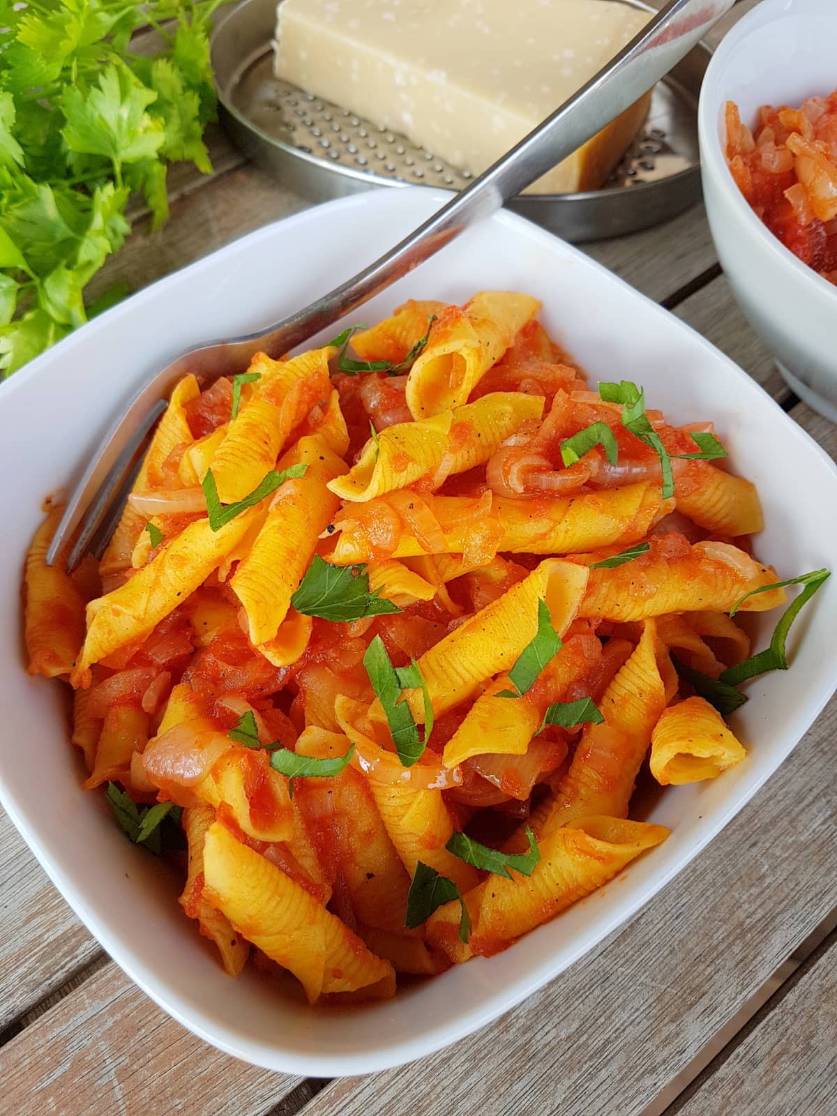 Italian braised onion sauce (il friggione) with pasta